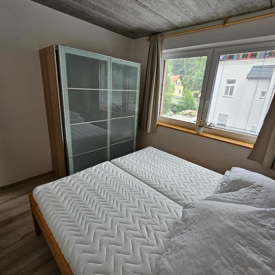 Pstruzi Ap19 Apartment Pstruzi (Karlovy Vary)