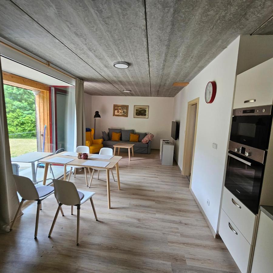 Apartment Pstruzi Ap19